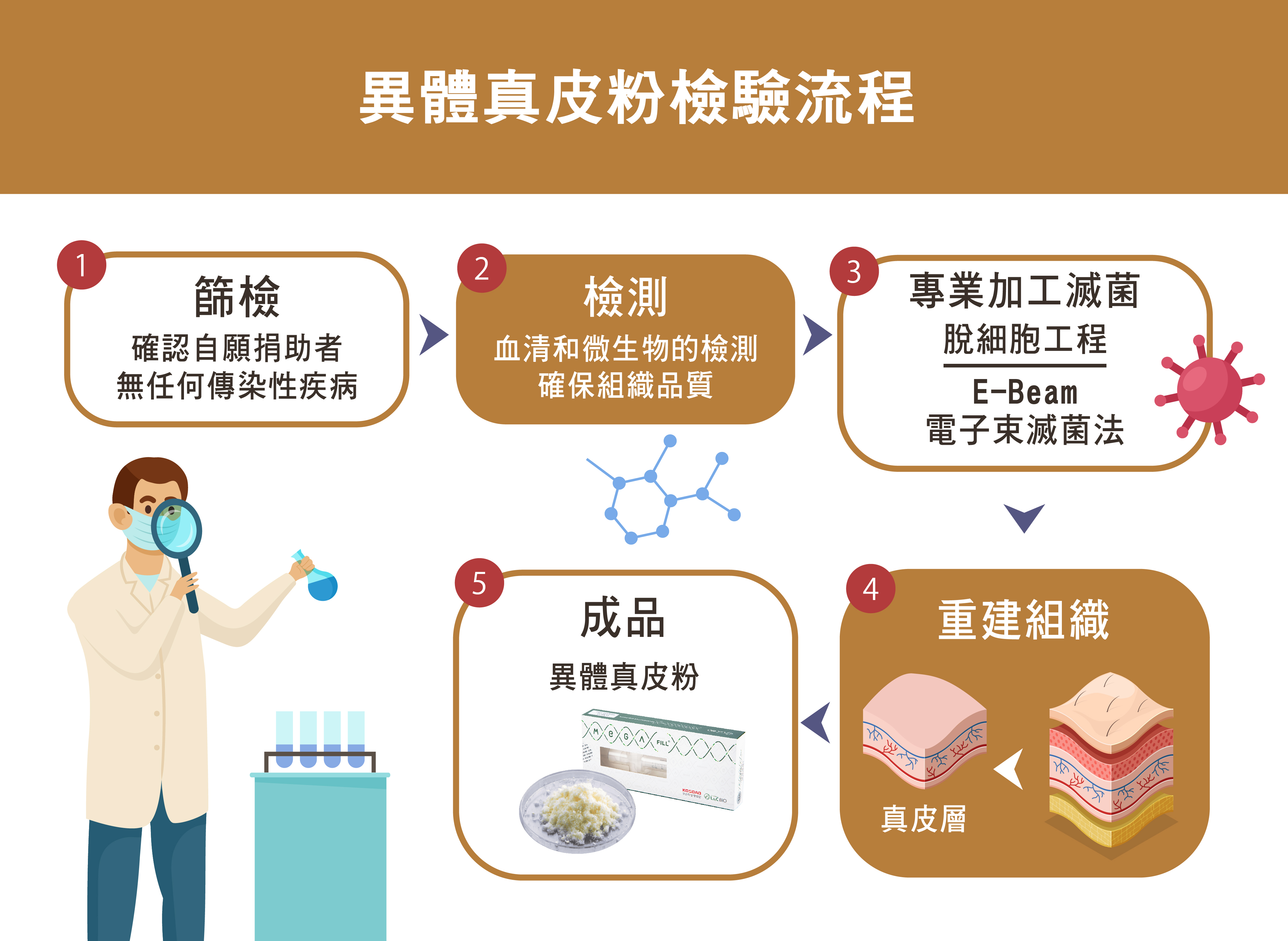 異體真皮粉來源