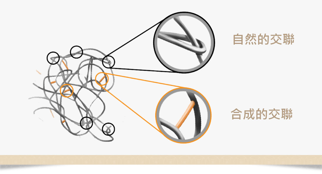玻尿酸交聯劑