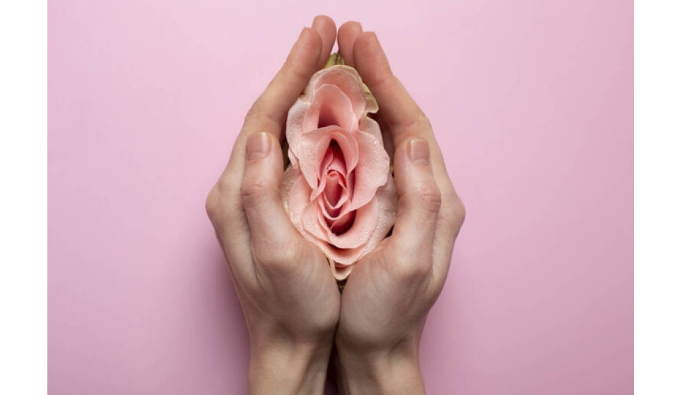 一線鮑長什麼樣子? 常見5種女生私密處形狀長這樣