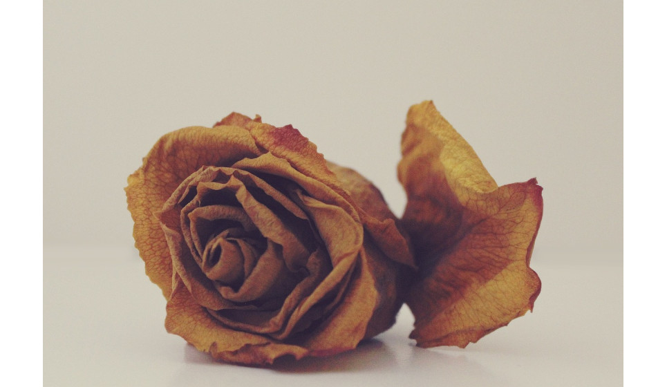 外陰鬆垮皺皺怎麼辦？專業女醫解析大陰唇萎縮與外陰萎縮治療