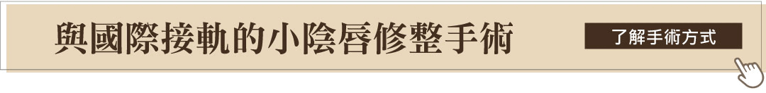 雷射小陰唇縮小/一線鮑手術
