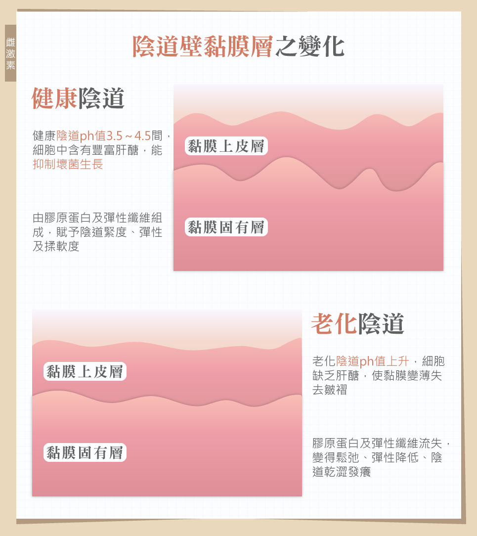 陰道乾痛 黏膜變化